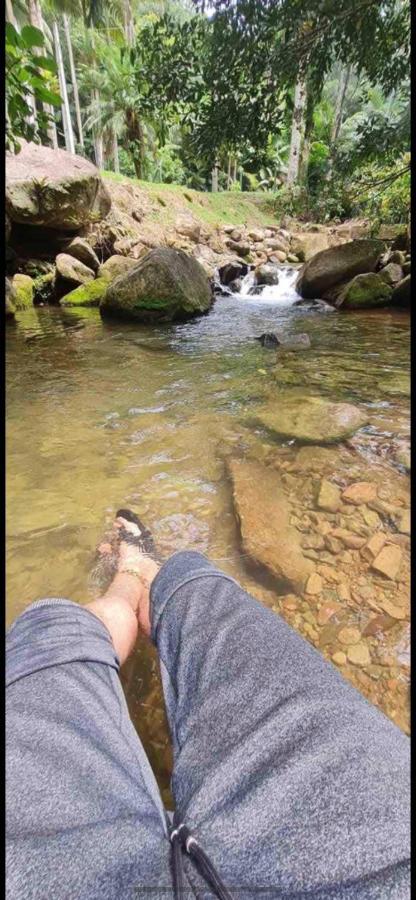 Em Meio à Natureza! *